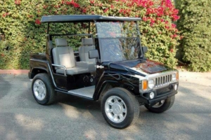 affordable golf cart rental, golf cart rent philadelphia